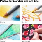 Winsor & Newton Studio Collection Artist Pencils, Color Pencils, Set of 12 - Image 4